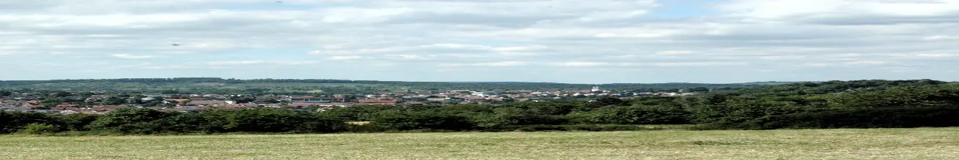 Weiter Blick über Wiesen und Felder, am Horizont die Dächer eines Ortes unter einem hohen Wolkenhimmel